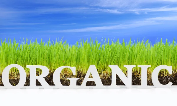Palabra "Orgánica" con hierba fresca y cielo azul — Foto de Stock