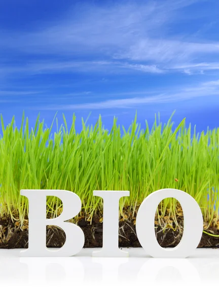 Woord "bio" met verse gras en blauwe hemel — Stockfoto