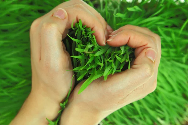 Hands hugging green fresh grass in shape of heart — Stock Photo, Image