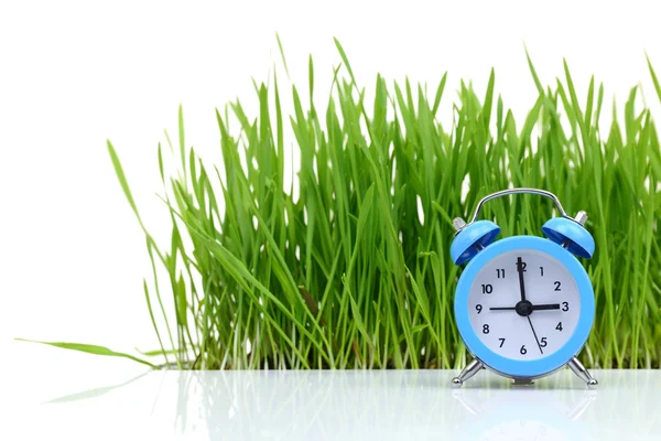 分離した新鮮な緑の芝生と青の目覚まし時計 ストックフォト