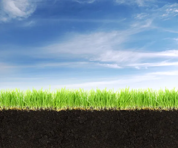 Поперечное сечение земли с почвой, травой и голубым небом . — стоковое фото