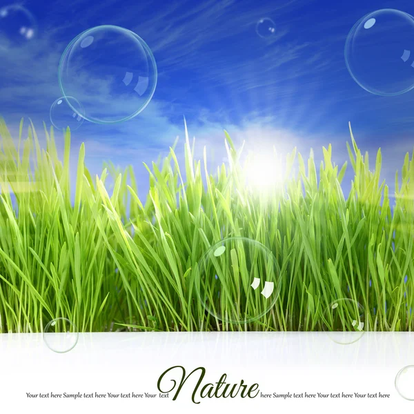 Glücklicher Hintergrund mit Gras, Himmel, Sonnenlicht und Seifenblasen — Stockfoto