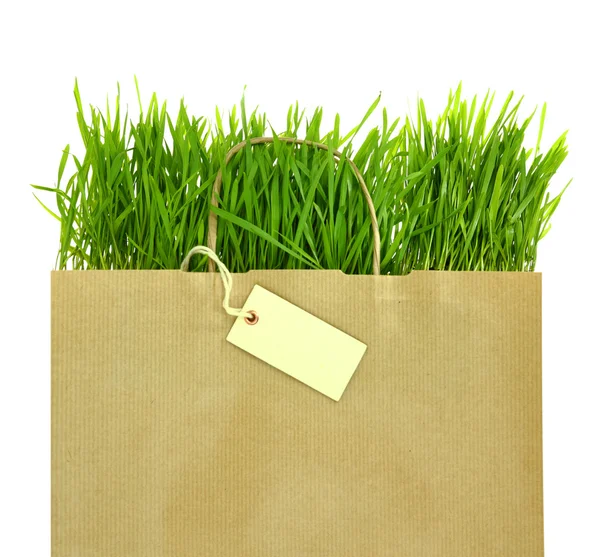 Újrahasznosított élelmiszerbolt zsák tele friss, zöld fű — Stock Fotó