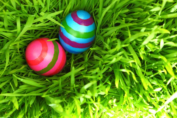 Uova di Pasqua variopinte su erba verde fresca — Foto Stock