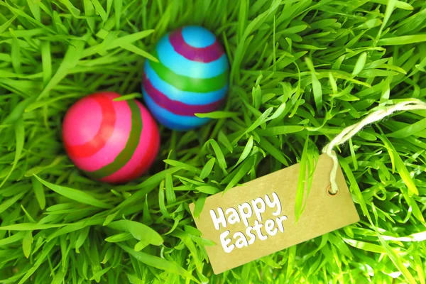 Huevos de Pascua sobre hierba verde con etiqueta y espacio de copia — Foto de Stock