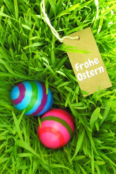 Easter eggs on green grass with tag and copy-space — Stock Photo, Image