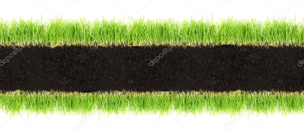 Cross-section frame of soil and grass isolated on white