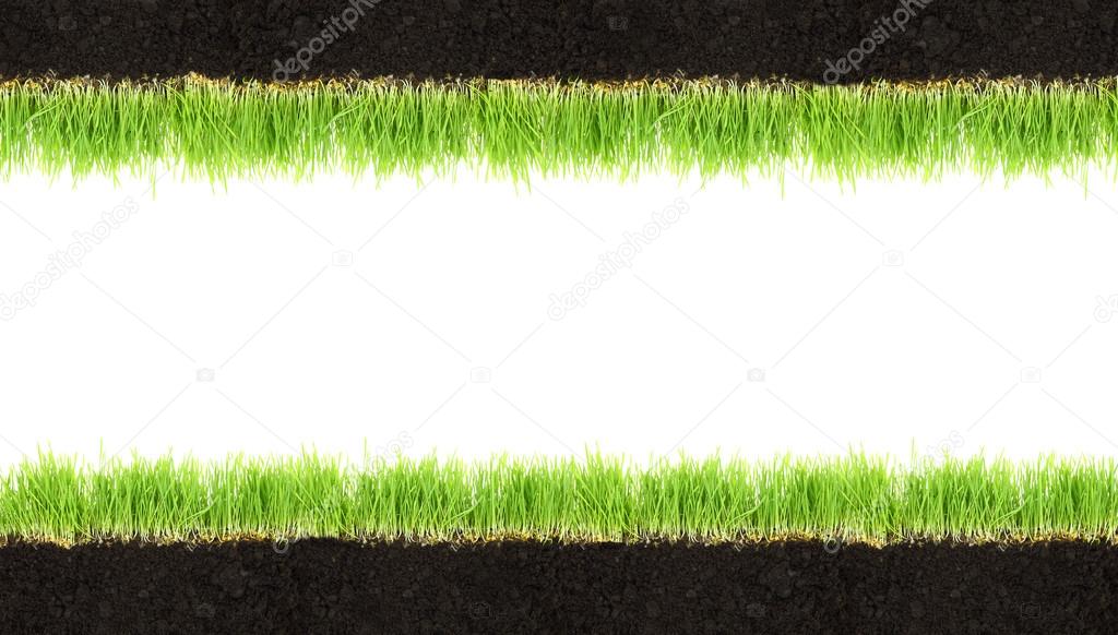 Cross-section frame of soil and grass isolated on white