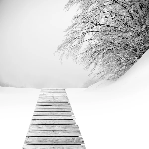 Suelo de madera sobre nieve con árbol cubierto — Foto de Stock