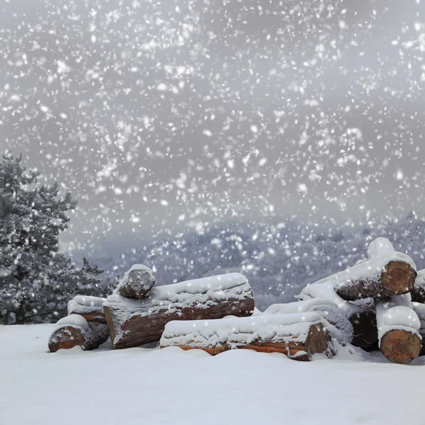 Stapel gehäckselter Baumstämme auf Schnee — Stockfoto