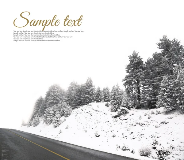 Зимний пейзаж с лесом на обочине дороги — стоковое фото