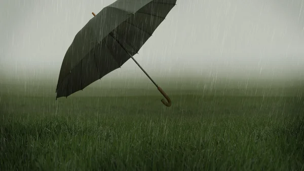 Foggy grassy field with heavy rain and flying umbrella — Stock Photo, Image