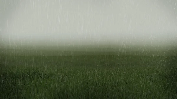 Chuvoso baixa visibilidade campos gramados paisagem — Fotografia de Stock