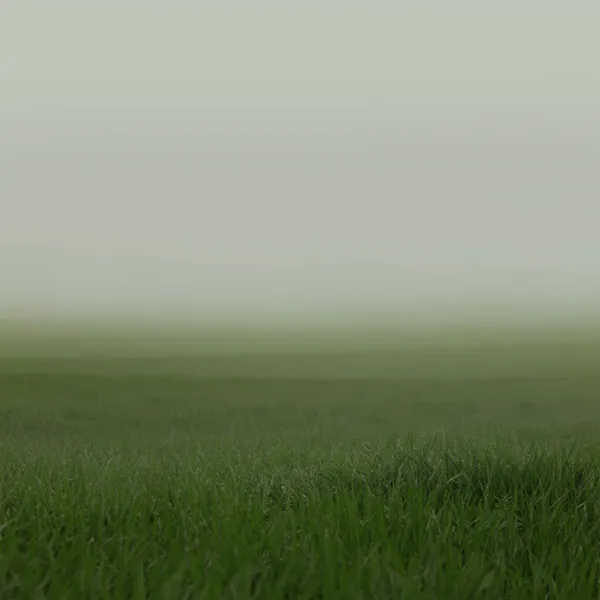 Mistige lage zichtbaarheid nat met gras begroeid landschap — Stockfoto