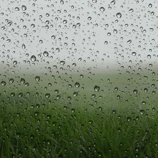 Misty green grass fields view behind wet glass — Stock Photo, Image