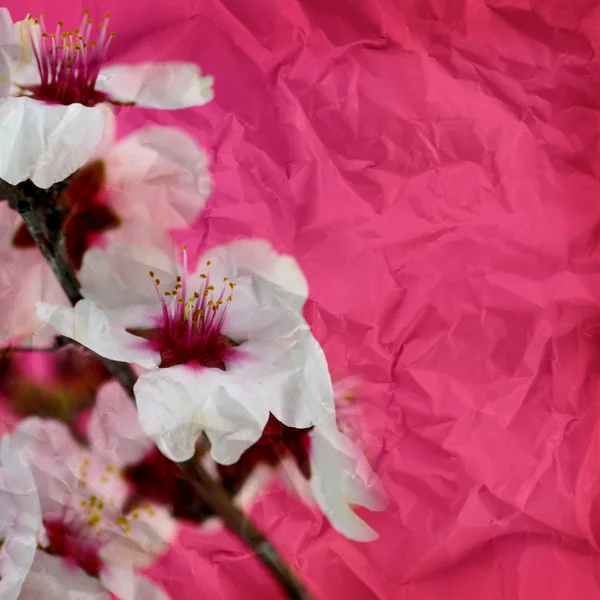 Ročník zmačkaný papír textury, grunge květinové pozadí — Stock fotografie