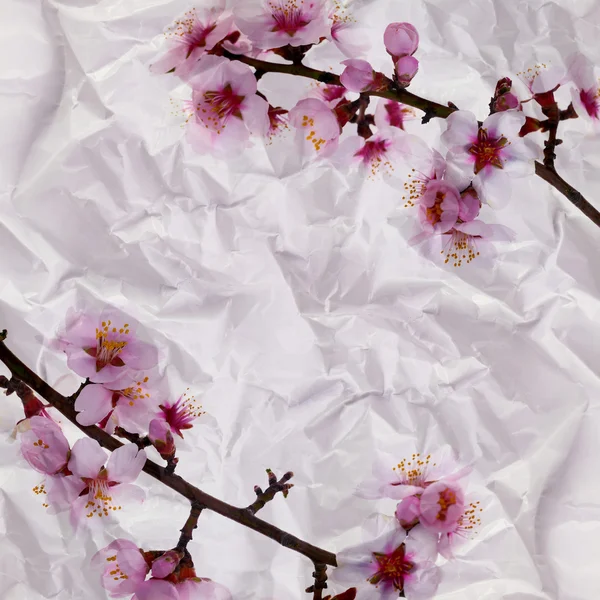 Vintage skrynkligt papper textur, grunge blomma bakgrund — Stockfoto