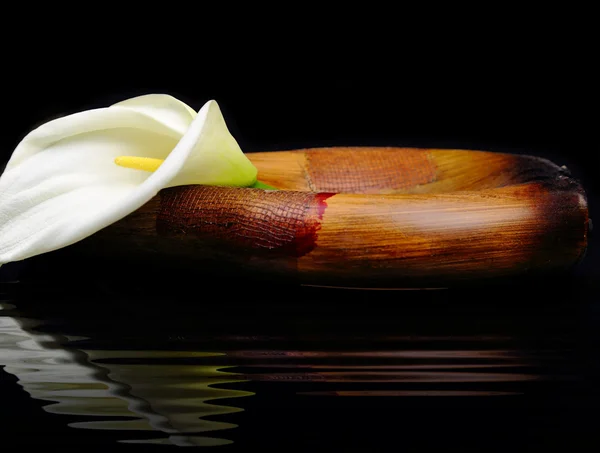 Vackra vita calla lily återspeglas i vatten — Stockfoto