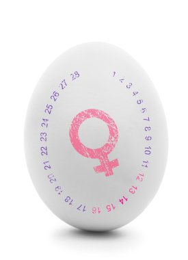 Pink female symbol on white egg isolated on white  clipart