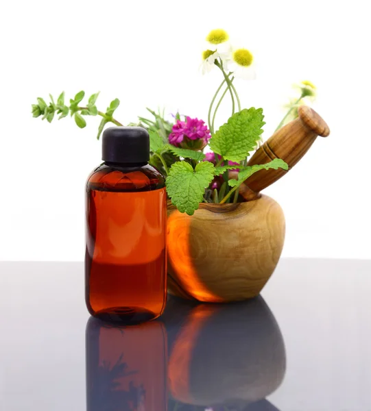 Mortar and pestle with fresh herbs and essential oil bottle — Stock Photo, Image