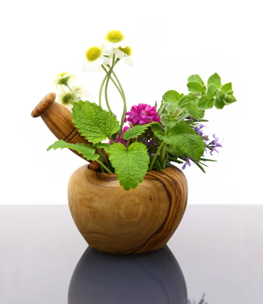 Třecí miska a tlouček s čerstvými bylinkami — Stock fotografie