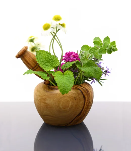 Mortar and pestle with fresh herbs — Stock Photo, Image