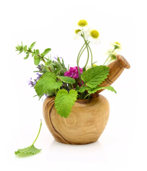 Mortar and pestle with fresh herbs — Stock Photo, Image