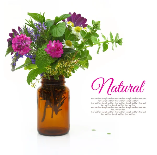 Świeże zioła w butelce medyczne — Zdjęcie stockowe