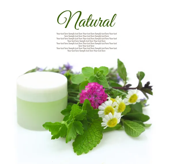 Kosmetický krém s bylinkami na bílém pozadí — Stock fotografie
