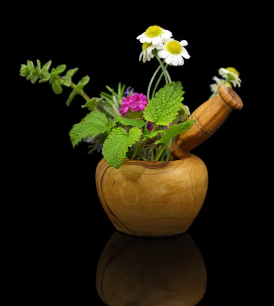 Mortar and pestle with fresh herbs on black background — Stock Photo, Image