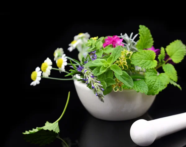 White porcelain mortar and pestle with fresh herbs on black background — Stock Photo, Image