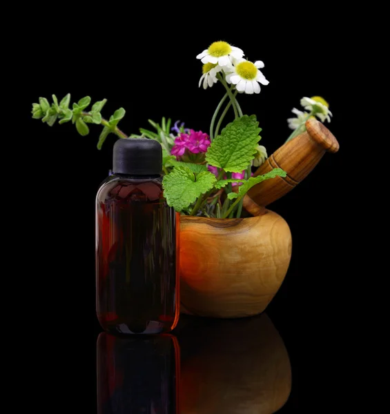 Mortar and pestle with fresh herbs and essential oil bottle — Stock Photo, Image