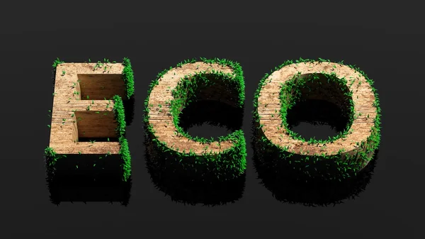 Dřevěné eco slovo s růstem vegetace izolované na černém pozadí — Stock fotografie