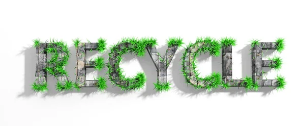 Holz recyceln Wort mit grünem Gras Wachstum isoliert — Stockfoto