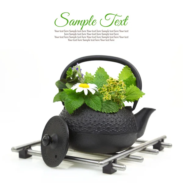 Nyissa meg a teáskanna a különböző gyógynövények, elszigetelt fehér — Stock Fotó