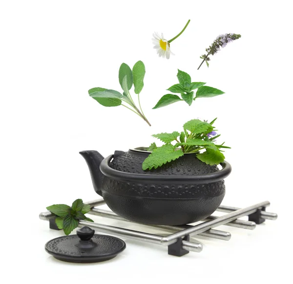 Teapot with various herbs isolated on white — Stock Photo, Image