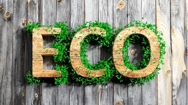 Houten eco woord met vegetatie groei op houten achtergrond — Stockfoto