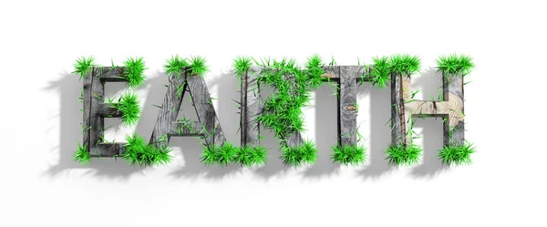 Wooden Earth word with green grass growth isolated — Stock Photo, Image