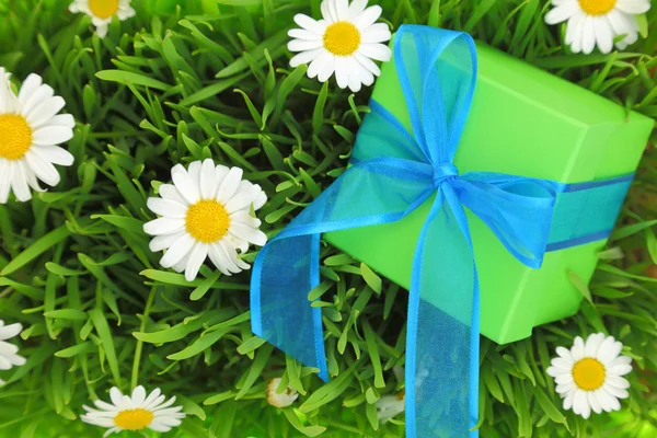 Confezione regalo con nastro su erba con fiori di margherita — Foto Stock