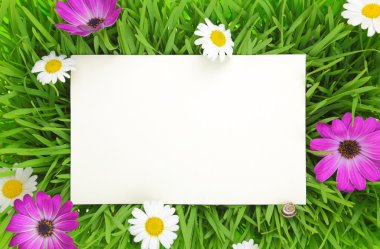 çim, pembe ve beyaz çiçekler arka plan afiş