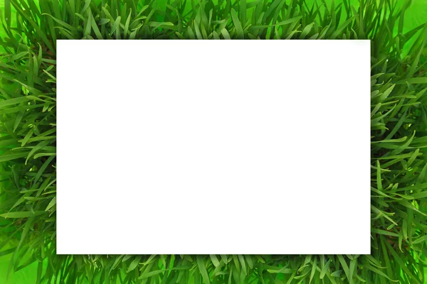 Banner horizontal blanco en blanco sobre hierba verde — Foto de Stock