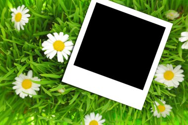 yeşil çimen çiçekler ile şablonunda boş fotoğraf