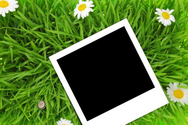 yeşil çimen çiçekler ile şablonunda boş fotoğraf 
