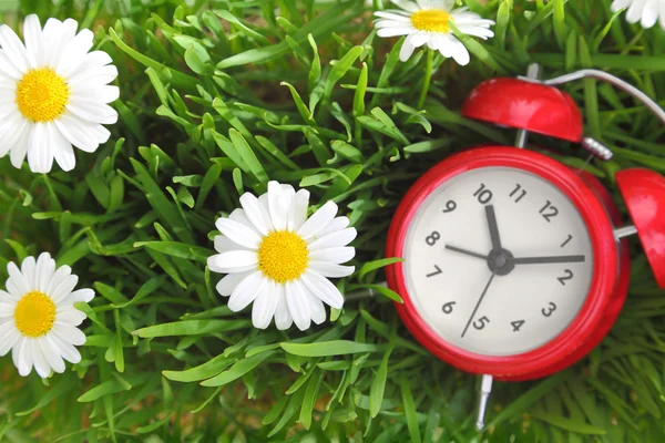 Relógio vermelho na grama verde com flores fundo — Fotografia de Stock