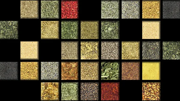Large collection of herbs and spices — Stock Photo, Image