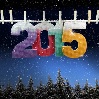 sayı 2015 asılı bir clothesline üzerinde kar kaplı ağaçlar