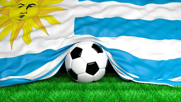 Ballon de football avec drapeau uruguayen sur terrain de football gros plan — Photo