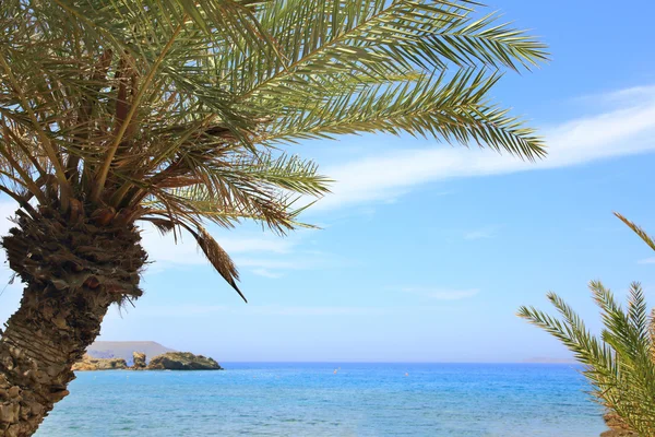 Mavi gökyüzü, deniz ve palmiye ağaçları ile deniz manzarası — Stok fotoğraf