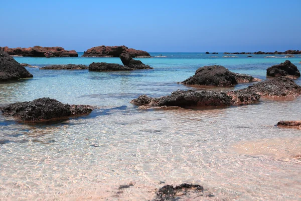 Růžový písčité pláže s křišťálově vody elafonisi Kréta — Stock fotografie