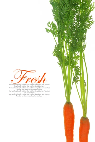 Fresh carrots with leaves isolated on white background — Stock Photo, Image